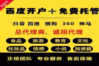 sem竞价托管代运营——广告优化的典范案例